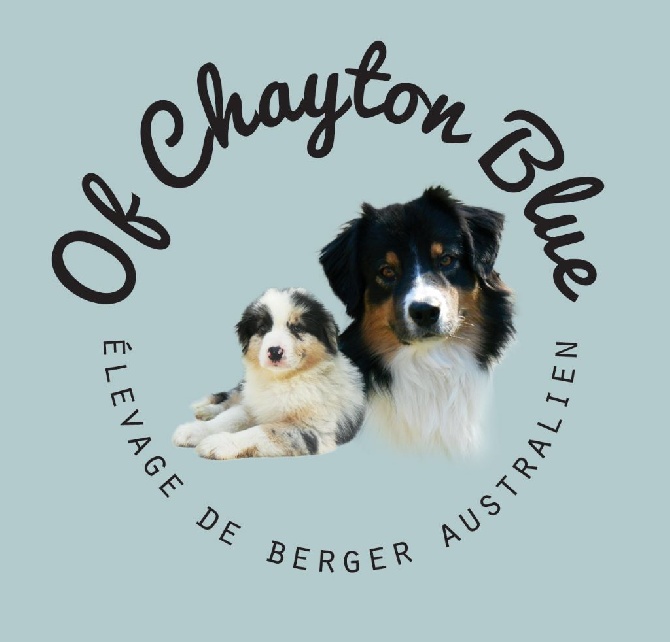 of Chayton Blue - LOGO de l'élevage